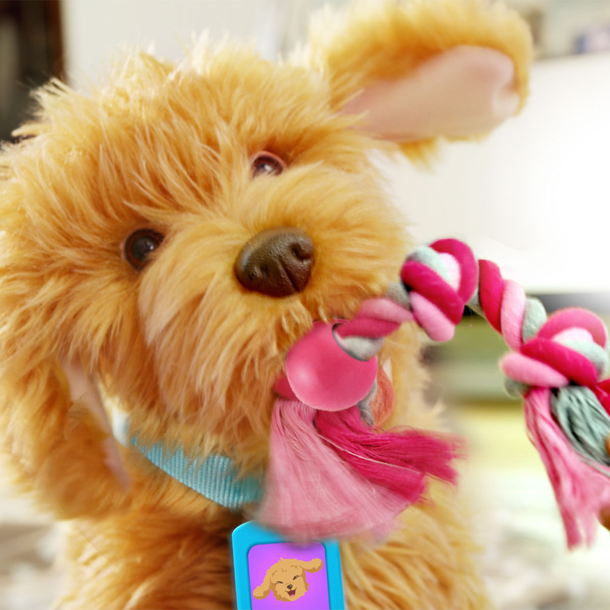 moji interactive labradoodle